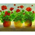 thumbnail image 3 of Finch, Sheila 24x20 Black Modern Framed Museum Art Print Titled - Geraniums III, 3 of 5