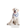 thumbnail image 2 of Veterinarian Dog Wall Decal by Wallmonkeys Peel and Stick Graphic (18 in H x 12 in W) WM341542, 2 of 4