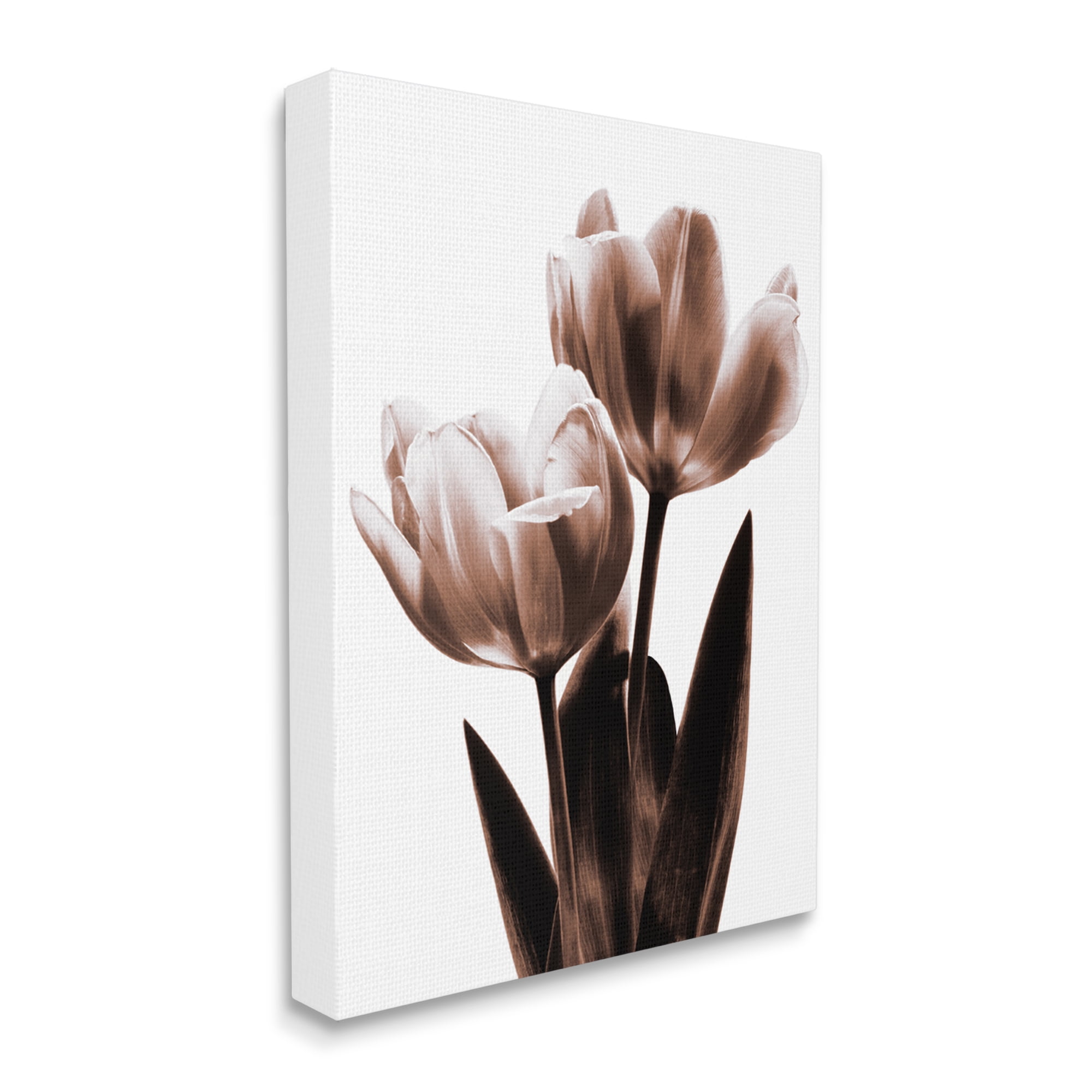 Stupell Industries Two Tulips Photography Botanical & Floral Photography Gallery Wrapped Canvas Print Wall Art, 16 x 20