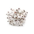 thumbnail image 5 of 40Pcs Artificial Berry Sprigs Decor Berries for Christmas Tree Decoration and Wedding Party Floral Arrangements, 5 of 11