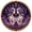 Gemini 12 Zodiac Signs Pearl Art Kit#2, variant on 12 Zodiac Signs Pearl Art Kit, Elegant Galaxy-Themed Wall Hanging for Living Room or Craft Room, Relaxing Weekend Project with Premium Shine Finish (Scorpio)