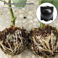 thumbnail image 4 of AMERTEER Garden Plant Rooting Ball Grafting Root Growing Box Breeding Case Container, 4 of 11