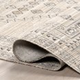 thumbnail image 5 of nuLOOM Halcyon Moroccan Indoor/Outdoor Machine Washable Area Rug, 4' x 6', Halcyon Light Grey, 5 of 10