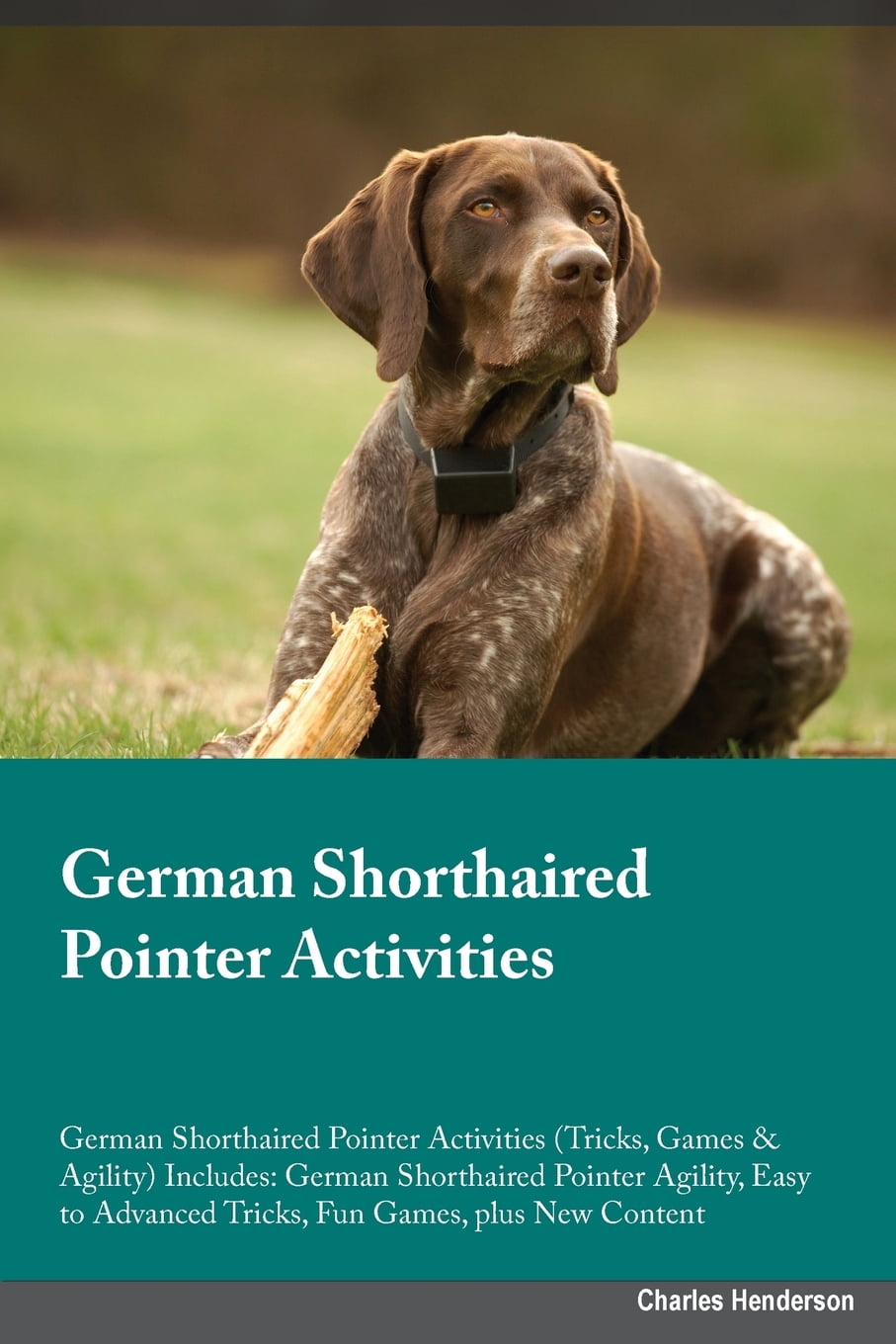 german shorthaired pointer agility