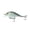 4K Shad, variant on 6th Sense – Crush Series Squarebill Crankbait Bass Fishing Lure, Shallow Diving Hard Bait