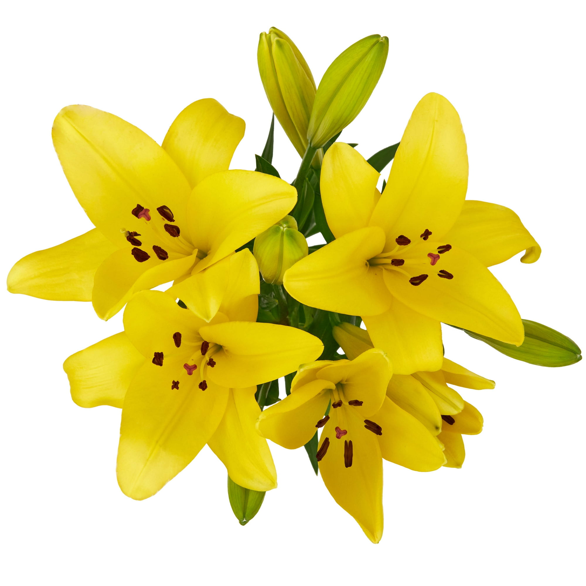 LA Lilies Flower Bunch Small, Colors May Vary