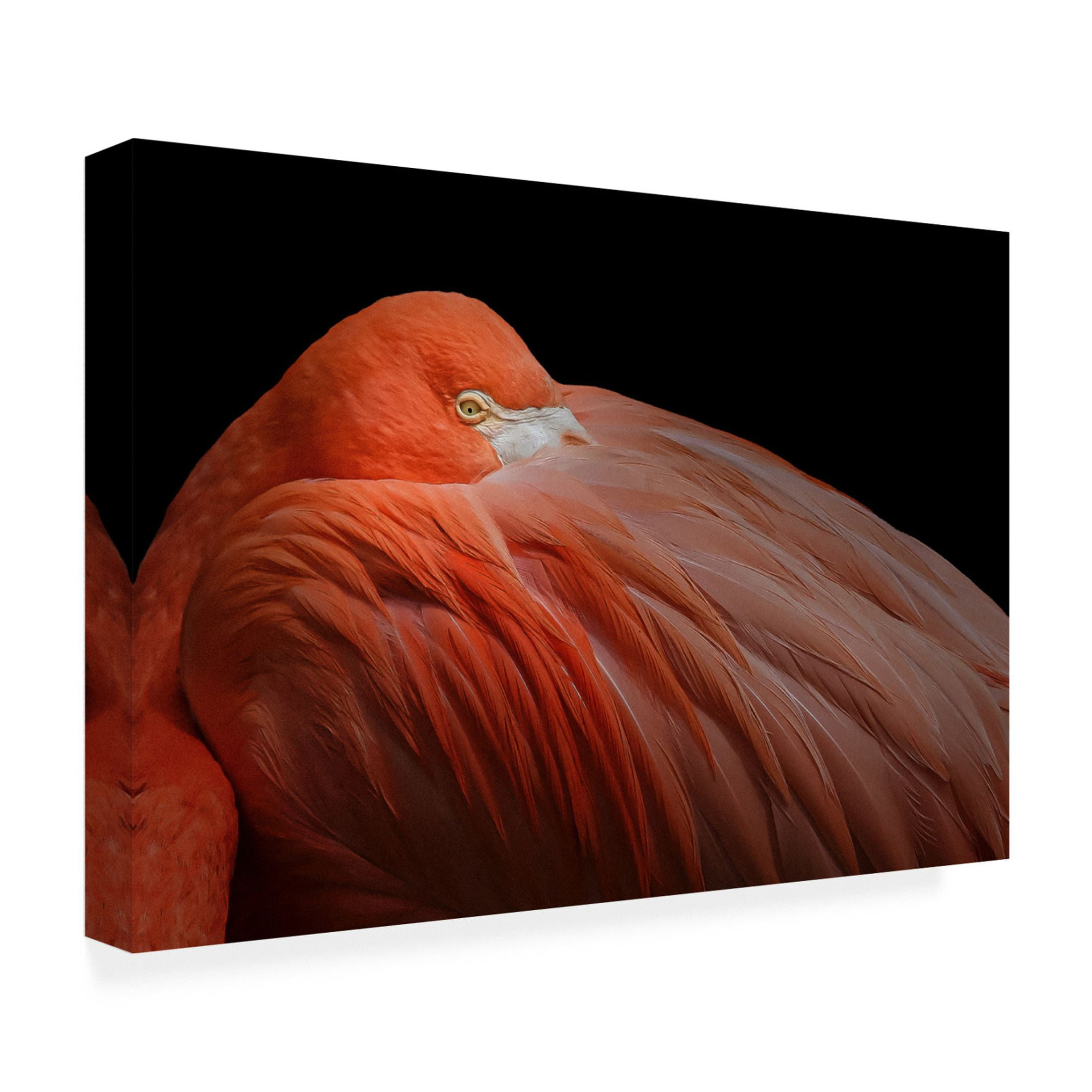 Trademark Fine Art Hardik Pandya  Untitled Canvas Wall Art