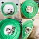 thumbnail image 4 of Collar protector para mascotas WEIHJMXG anillo ajustable antilamido para perros y gatos S, 4 of 5
