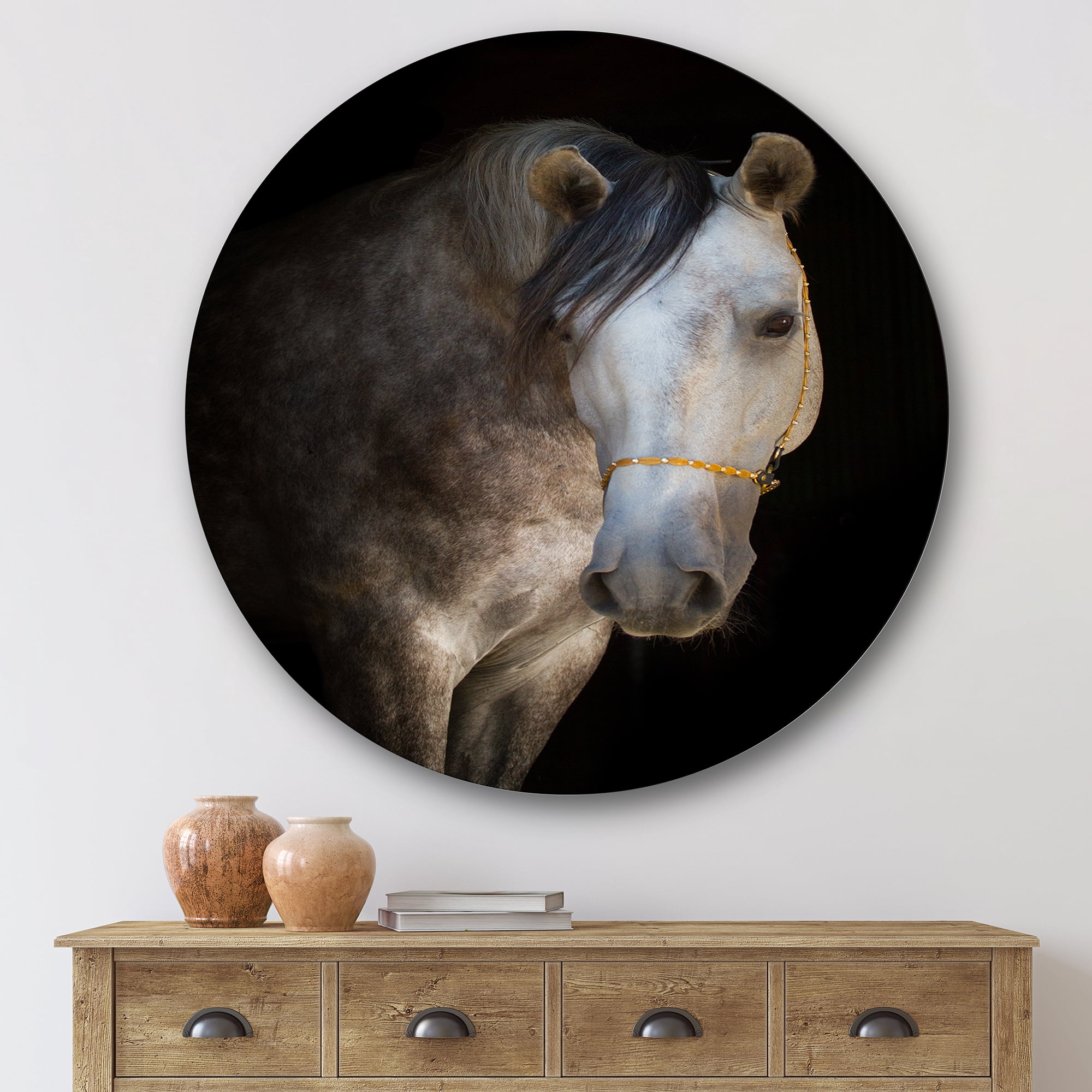 Designart 'Close Up Portrait Of A White Horse' Farmhouse Circle Metal Wall Art 36x36 - Disc of 36