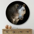 thumbnail image 2 of Designart 'Close Up Portrait Of A White Horse' Farmhouse Circle Metal Wall Art 29x29 - Disc of 29, 2 of 5