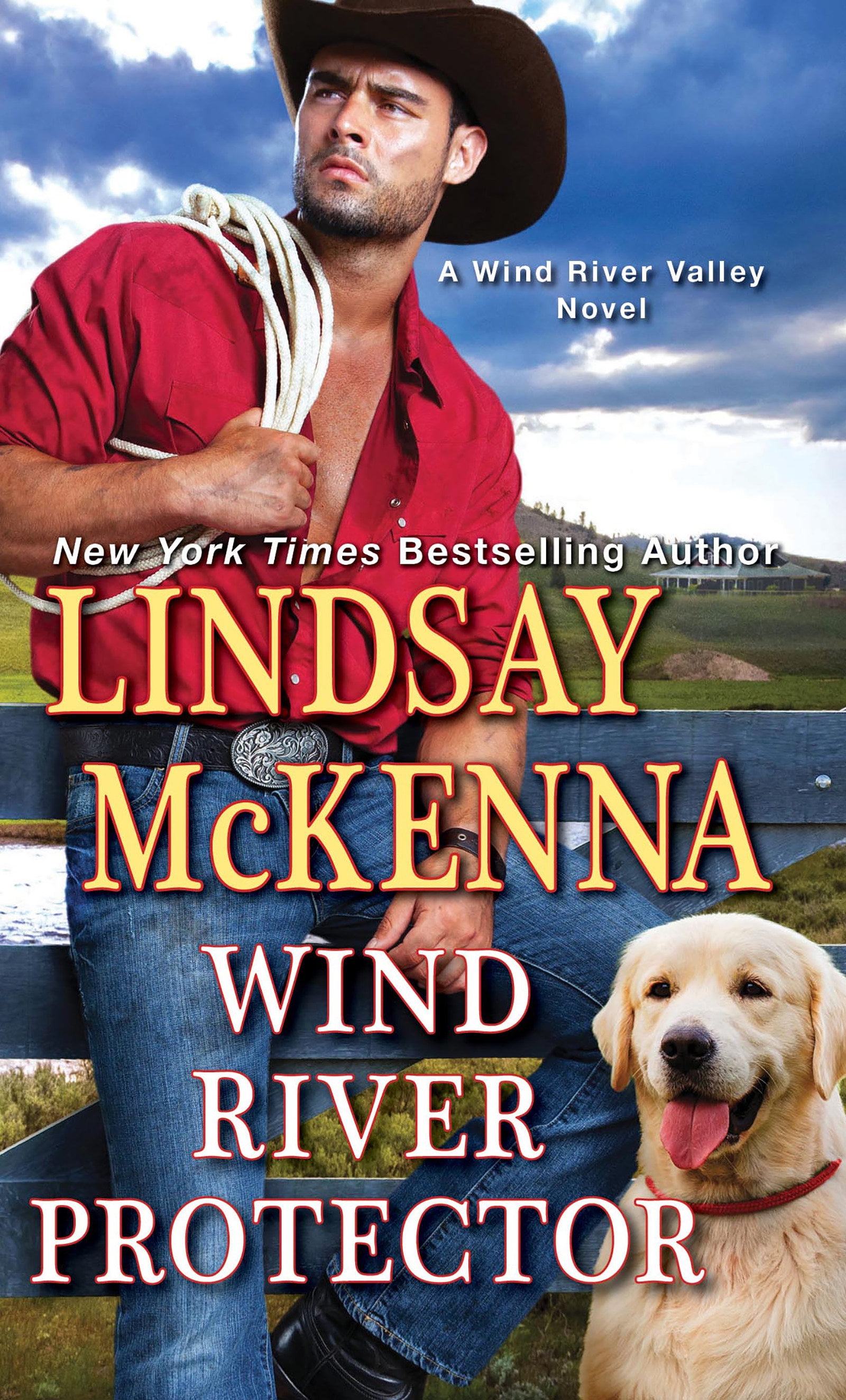 Wind River: Wind River Protector (Series #8) (Paperback) - Walmart.com ...