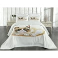 thumbnail image 2 of Ambesonne Animal Quilted Coverlet 3 Pcs, Grumpy Angry Cat Love, Queen Size, Beige and Brown, 2 of 4