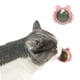 thumbnail image 1 of Labymos Bola de pared de hierba gatera,, 1 of 8