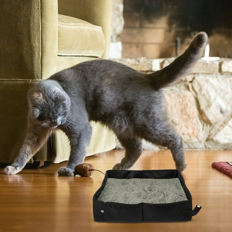 Outdoor cat litter sand 2025