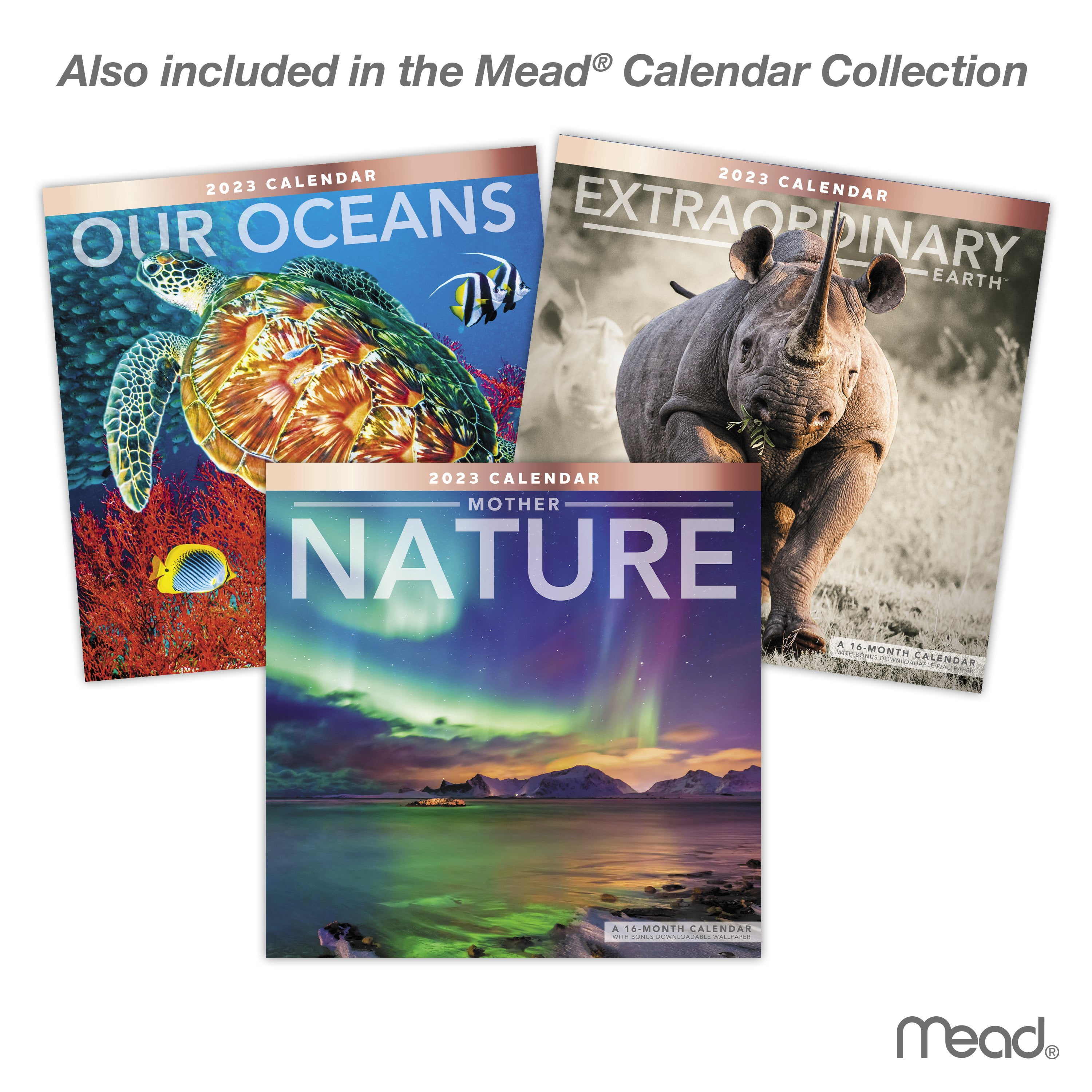 2023 Wall Calendar, Extraordinary Earth, 12" x 12" by Mead (WMET1810-23)