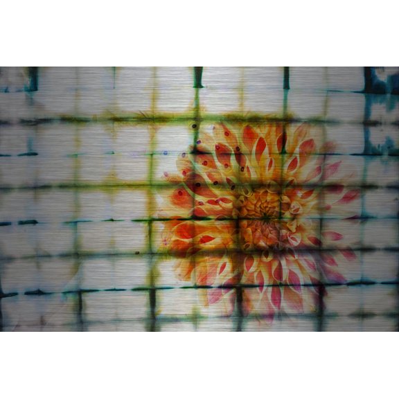 Parvez Taj Peacock Art Print on Brushed Aluminum