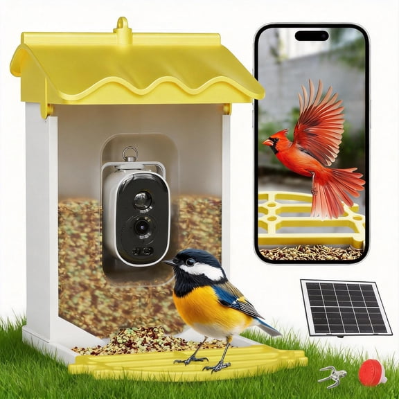 Solar Powered Smart Bird Feeder with 4K Camera & AI Identification