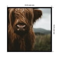 thumbnail image 5 of Kate and Laurel Framed Wall Art Print Close Up of Scottish Highland Cattle Baby SQ by Michael Schauer, 33 x 33, Svelte Noir Black Frame, Rustic Farmhouse, Animal Art for Wall Decor, 5 of 8