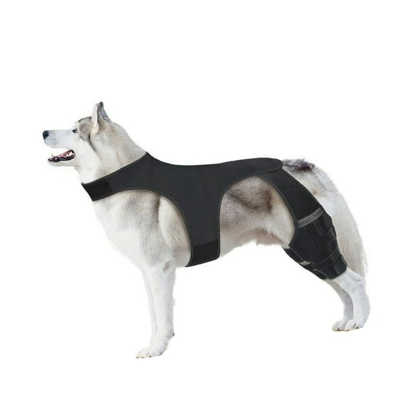 Dog Knee Brace Back Leg Joints Protectors Elastic Neoprene Leg Sleeve With Adjustable Belt For Elderly Dog Health Joint