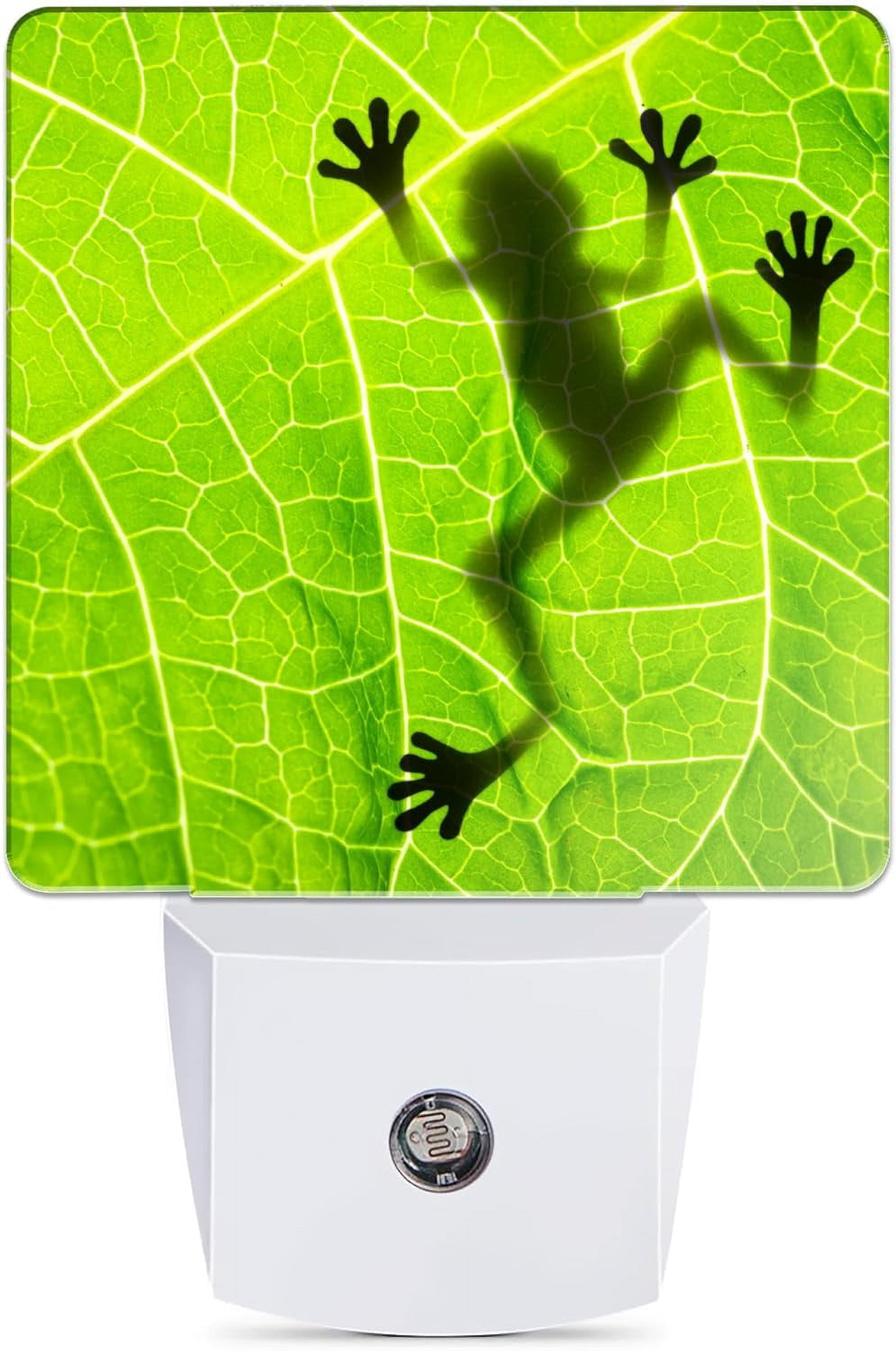 RGHJAR-Frog Night LightGreen Leaf Night Lights Plug into Wall Decor for Bedroom,Bathroom, Hallway,Kitchen, Dusk to Dawn Sensor Nightlights for Boys Girls Women Men Room Gifts