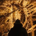 thumbnail image 3 of Copper Wire Fairy Solar LED String Lights 8 Modes Waterproof Garden Party Decor, 3 of 8