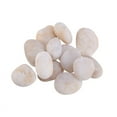 thumbnail image 1 of Painting Rocks and Stones Children's Drawing Painted Cartoon Creative Stones Hand-painted DIY Polishing Pebbles 500G (Wh, 1 of 8