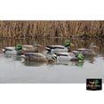 thumbnail image 2 of AVIAN-X Topflight Fusion Mallards Durable Ultra Realistic Floating Hunting Duck Decoys, Pack of 6, AVX8076, 2 of 16