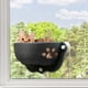 thumbnail image 1 of Cama de Gato Ventana Asiento de Ventana Salones Dentro de La Cama Nido de Gato Percha de Ventana de Gato Hamaca para Descansar Gatos Pequeños Medianos Gris claro Fernando Hamaca para gatos, 1 of 8