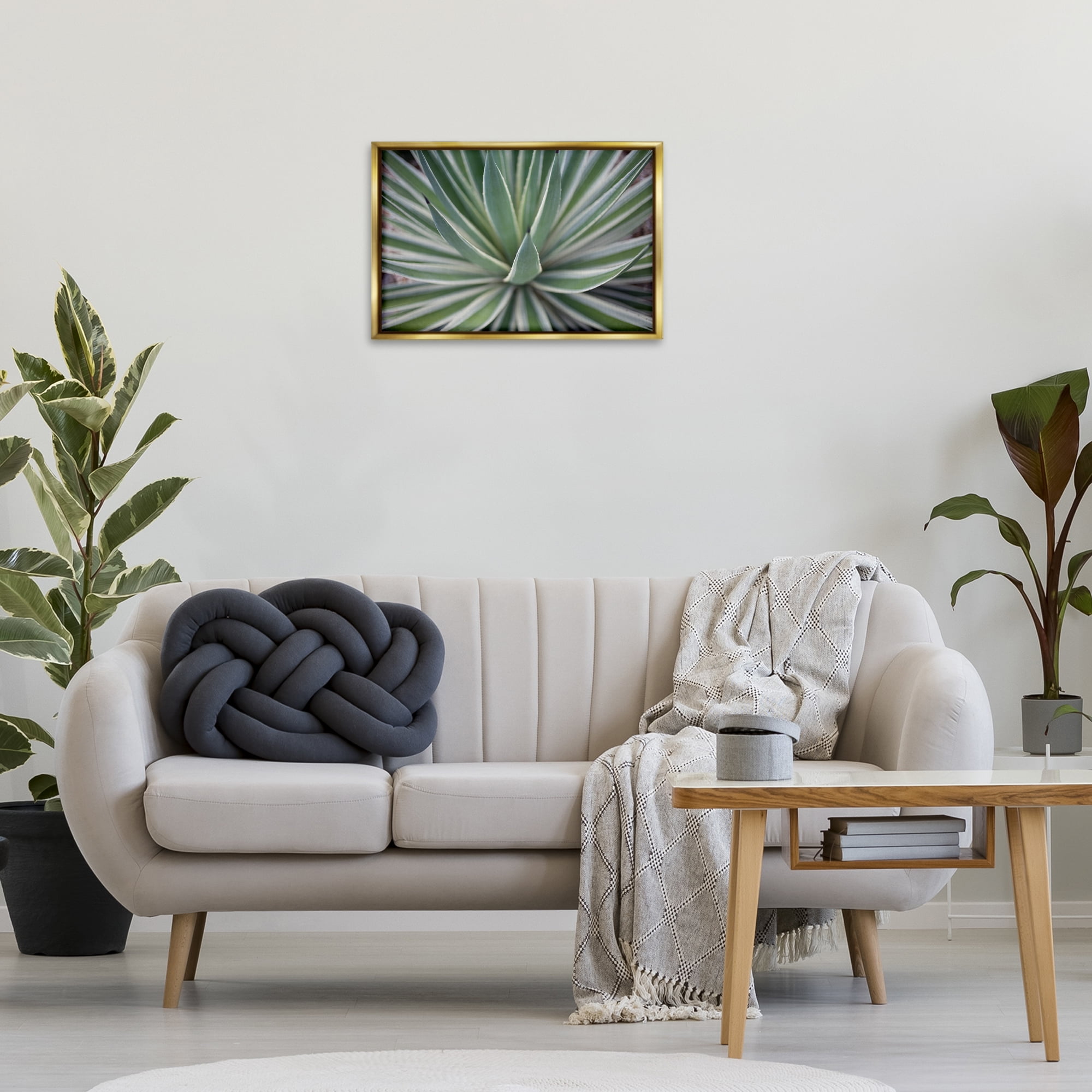 Stupell Industries Striped Plant Leaves Botanical & Floral Photography Gold Floater Framed Canvas Art Print Wall Art, 25 x 17