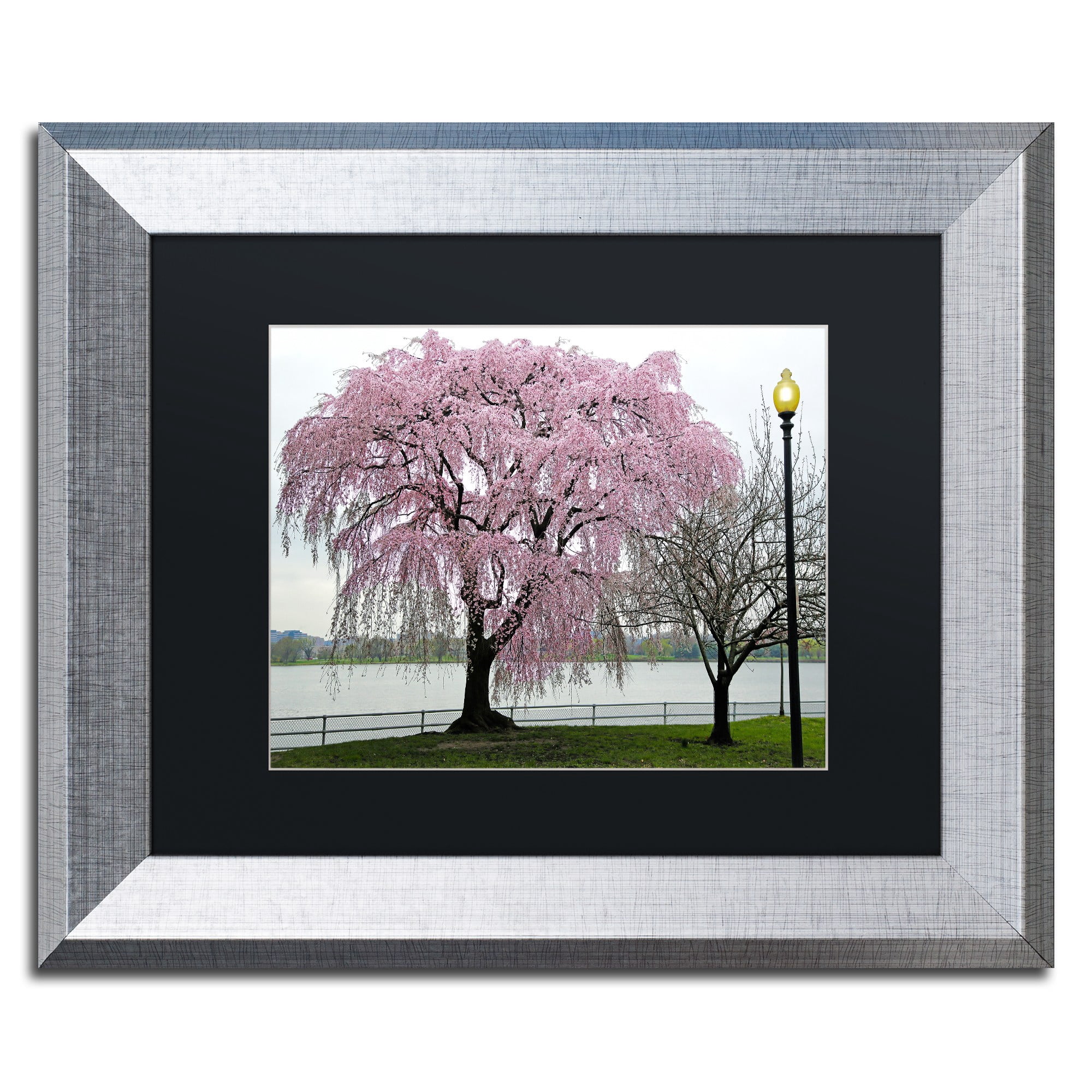 Trademark Fine Art "Cherry Tree" Canvas Art by CATeyes, Black Matte, Silver Frame