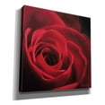 thumbnail image 2 of Epic Graffiti 'The Red Rose I' by Lori Deiter, Canvas Wall Art, 18"x18", 2 of 8