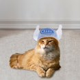 thumbnail image 4 of Sombrero de Perro Gato Sunnimix para Vestir cachorros 2 Uds Invierno, 4 of 8