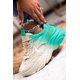 thumbnail image 4 of Tenis Sneakers Bicolor Casual para Mujer Pazzle Shoes Mad Turquoise, 4 of 4