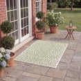 thumbnail image 3 of Safavieh Courtyard Karina Animal Indoor/Outdoor Area Rug, Ivory/Sage Green, 8' x 10', 3 of 10