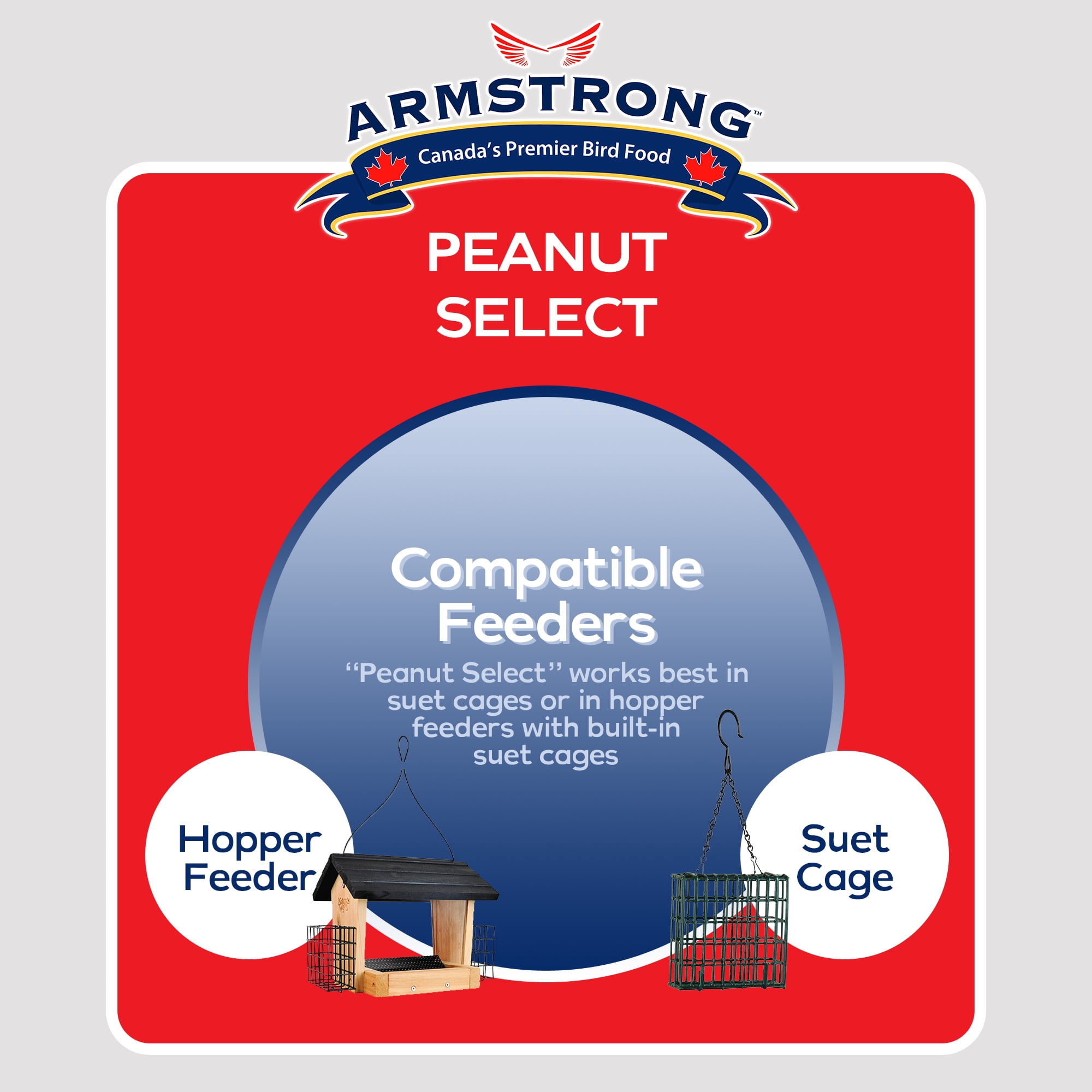 Armstrong Wild Bird Food Peanut Select Suet Blend, 11.3oz (Pack of 12)