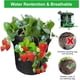 thumbnail image 5 of Dinheiro 2 bolsas para plantas de fresa de 43 litros de tela no tejida con asas y 8 bolsillos laterales para cultivo, bolsas para plantas de balcón y verduras, diámetro 35 x 45 cm (2 x 10 galones), 5 of 8