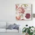 thumbnail image 4 of Trademark Fine Art 'French Roses IV' Canvas Art by Danhui Nai, 4 of 4