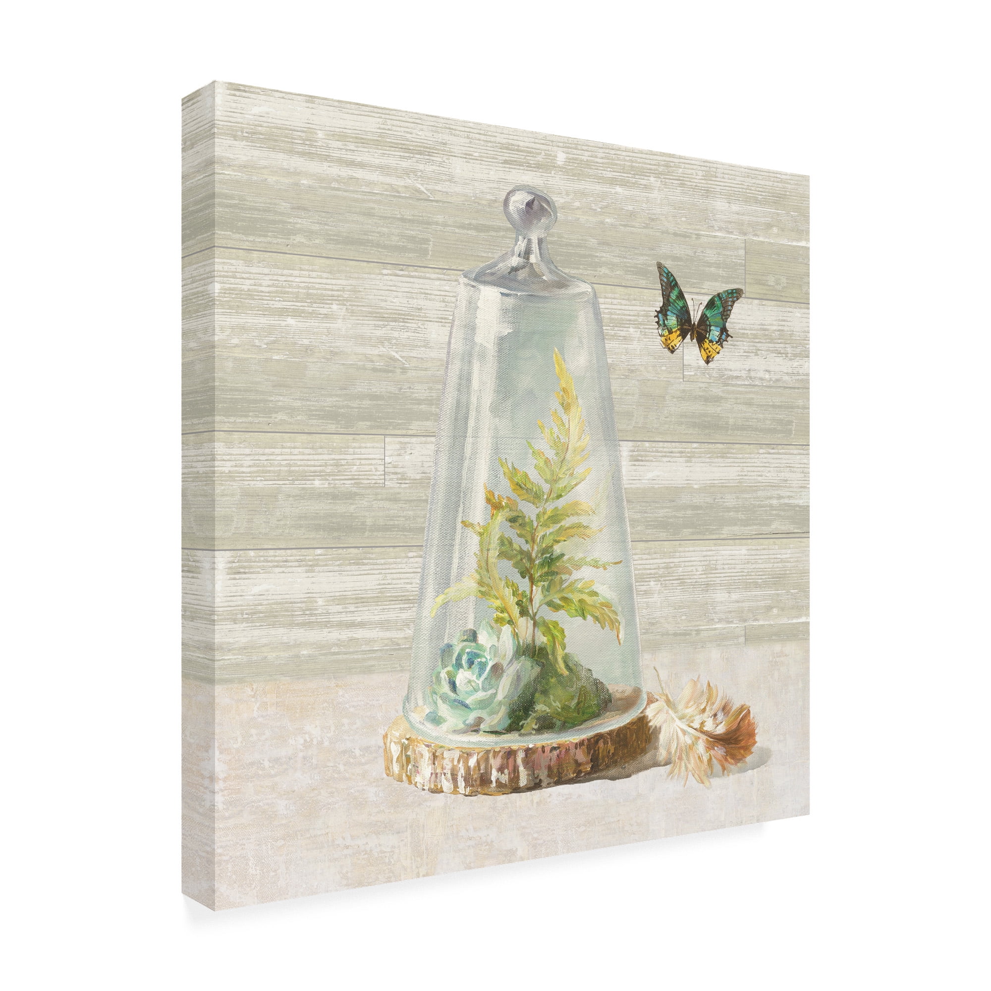 Trademark Fine Art 'Succulent Garden IV' Canvas Art by Danhui Nai