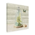 thumbnail image 2 of Trademark Fine Art 'Succulent Garden IV' Canvas Art by Danhui Nai, 2 of 3