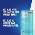 thumbnail image 4 of Red Bull Sugar Free Ice 250ML, 4 of 6