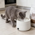 thumbnail image 5 of 2-in-1 Heated Pet Water Fountain & Food Dehydrator for Cats and Dogs with Stainless Steel Bowl, 5 of 5