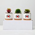 thumbnail image 1 of Maceta de cerámica creativa con palabras de bendición, pequeña maceta de flores para decoración de escritorio, estilo jardinería, 1 of 1