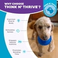 thumbnail image 4 of Juguete Interactivo Planet Dog Orbee-Tuff Azul Real dispensador pequeño para Perro, 4 of 8