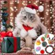 thumbnail image 2 of 2025 Christmas Advent Calendar 24 Grid Cat Toys Christmas Countdown Blind Box Christmas Decoration Pet Surprise Blind Box New, 2 of 5