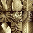 thumbnail image 3 of Kelly, Caroline 15x15 Black Modern Framed Museum Art Print Titled - Tropical Leaves II, 3 of 5