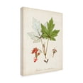 thumbnail image 2 of Unknown 'Antique Tree Study I' Canvas Art, 2 of 3