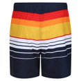 thumbnail image 2 of Regatta Mens Loras Striped Swim Shorts, 2 of 5