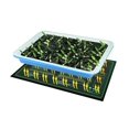 thumbnail image 2 of Tapis Chauffant pour Semis - Imperméable, 2 of 2