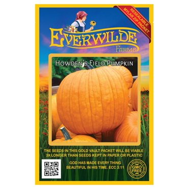 Howden Pumpkin Seeds – Non-GMO, Heirloom, Cucurbita Pepo, Easy Grow, Annual