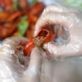 thumbnail image 3 of 100 unids/bolsa guantes desechables guantes de plástico únicos guantes transparentes para barbacoa Ndcxsfigh Cuidado Belleza, 3 of 5